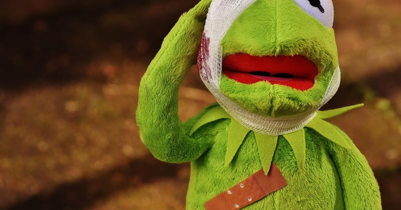 kermit